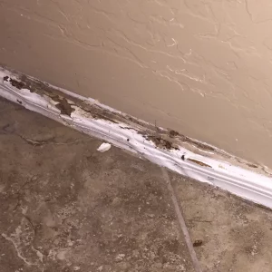 Signs of Termites - Damage to Baseboard